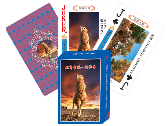 ����ס����